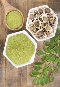 Graines de Moringa Oleifera décortiquées - Product Image 3