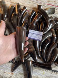 Punta de Cuerno de Búfalo Natural, Color Natural, Alta Calidad - Product Image 3