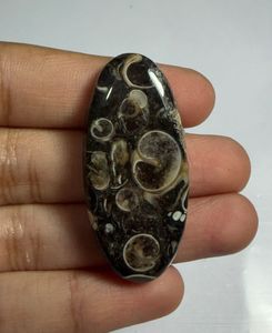 Lote al por mayor de cabujones de ágata TURRITELLA por peso con diferentes formas y tamaños utilizados para la fabricación de joyas, piedra TURRITELLA - Product Image 1