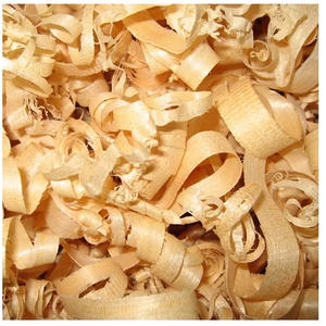 Virutas de Madera de Calidad para Exportación a Granel, para Cama de Animales, Granjas Avícolas y Uso Agrícola - Product Image 5