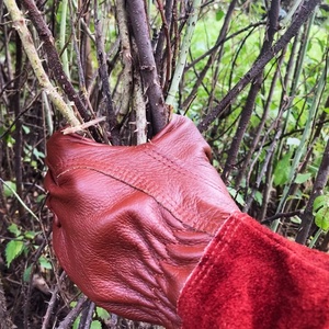 Gants en cuir pour femmes, Protection des mains, pour le travail du jardinage, - Product Image 3