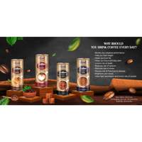 Cappuccino Café 250ml 8.45 Fl oz Boisson Infusée à Froid VINUT 24 Canettes/carton OEM Marque Privée Échantillon Gratuit Vietnam Premium 24 Mois