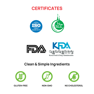 บะหมี่แห้งจากเวียดนามวุ้นเส้นใยคาร์โบไฮเดรตต่ำฟรีตัวอย่างฮาลาล, ISO, HACCP ได้รับการรับรอง - Product Image 5