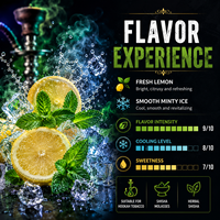 Concentré d'arôme citron menthe pour chicha, tabac soluble pour mélasse de narguilé, fourniture OEM