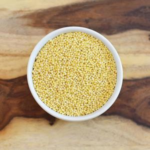 Millet jaune de qualité supérieure en vrac, frais et de haute qualité, directement de la ferme, pour une alimentation saine et naturelle - Product Image 1