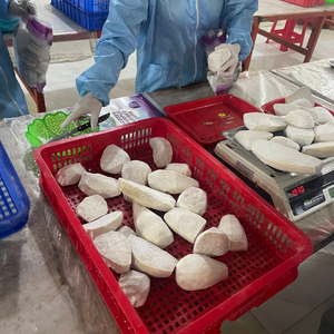 Taro desmenuzado y pelado, flexible y congelado, procedente de Vietnam, para cocinar al vapor y preparar pasteles asiáticos tradicionales, de 99 Gold Data - Product Image 3