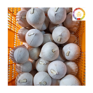 Coco Verde |   Tapa de fácil apertura |   Bebida Natural |   Ideal para la playa y eventos al aire libre |   Vietnam al por Mayor - Product Image 3