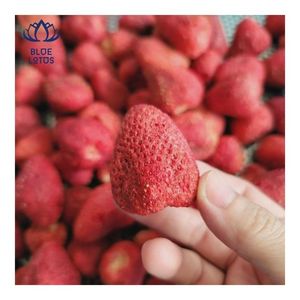 FRUTA DE FRESA DESHIDRATADA DE CALIDAD GARANTIZADA 2026, en PIEZAS, para Consumo como Snack y Decoración de Postres - Product Image 1