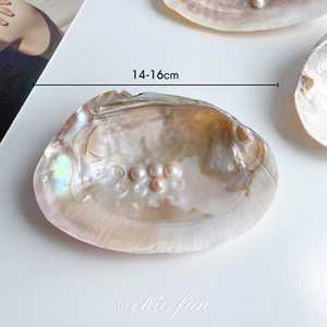 Plateau décoratif en coquille de nacre ovale 14-16cm, style côtier, décoration de mariage - Product Image 1