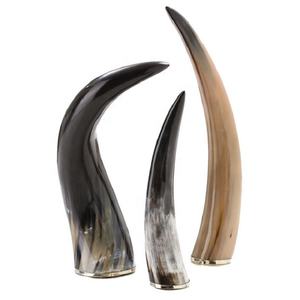 Corne polie décorative, style animal, forme naturelle, écologique, décoration d'intérieur, vaisselle, objet d'art, collection, vente en gros, échantillon gratuit - Product Image 2
