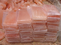 Tuiles de sel de l'Himalaya de haute qualité / Briques de sel de l'Himalaya 1x4x8 pouces