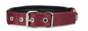 Contrast Stitch PP Dog <b>Collar</b> Designer <b>Pet</b> <b>Collar</b> Custom Logo Available from Divine International - Product Image 6