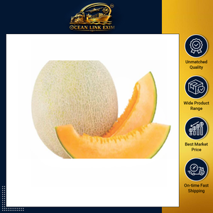 Melón Cantalupo Fresco Premium, Dulce y Jugoso, para Distribución al por Mayor y Mercado de Exportación - Product Image 2