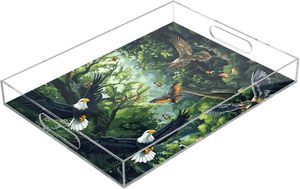 Bandeja de Servir con Asas, Bandeja Rectangular Decorativa de Acrílico Transparente, Organizador para Otomana, Mesa de Centro, Baño, Bald Eagles - Product Image 4