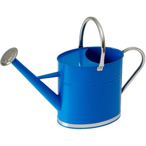 L'eau faite à la main en métal de fer peut d'or fini avec la conception personnalisable - Product Image 1