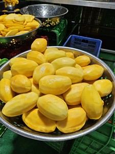 Mango Seco Tropical Masticable para Tiendas de Té de Burbujas, Cafeterías y Cadenas de Postres - Product Image 2