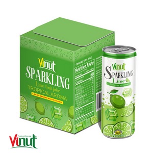 Boisson gazeuse tropicale au citron vert 250 ml, faible teneur en sucre et en matières grasses, boîte de 4 canettes, fabricant de boissons OEM ODM sous marque privée - Product Image 1