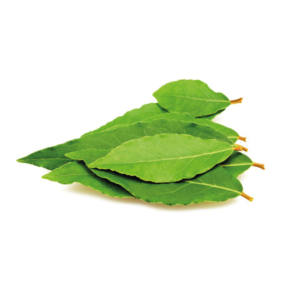 bay leaves turkish laurel leaves 100% natural valuable flavoring