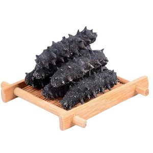 Pepino de mar seco, el más vendido |   Exportado por el Reino Unido desde Brasil, Grado A, alta calidad - Product Image 5