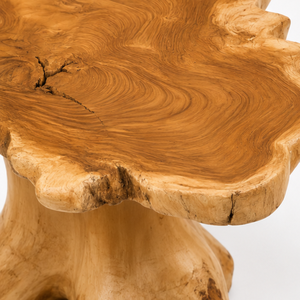 ARTERRA Luxury Handmade Eco-Friendly Easy Clean Durable Modern Teak Tree <b>Trunk</b> <b>Coffee</b> <b>Table</b> Organic Salvaged Root Living Room - Product Image 2