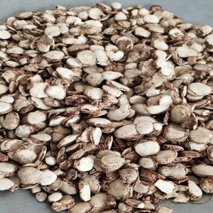 Poudre de Rhizoma Kaempferiae séché avec un arôme doux et rafraîchissant, qualité supérieure, qualité alimentaire, emballée sous vide - Product Image 6