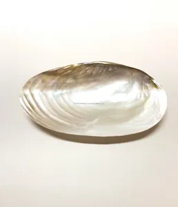 Haute qualité véritable nacre naturelle bol à salade brillant polonais à la main mariage maison Restaurant personnalisé cuisine bol de service - Product Image 1
