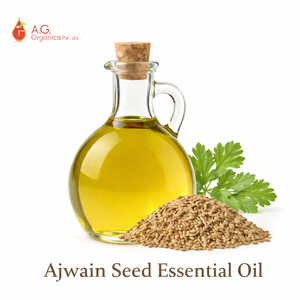 Huile Essentielle de Graines d'Ajwain Biologique Premium AG 100% Pure de Qualité Thérapeutique Distillée à la Vapeur pour l'Aromathérapie Fournisseur en Gros OEM - Product Image 2