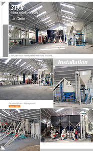 โรงงานผลิตเม็ดไม้ชีวมวลแบบพาเลทท์ ผลิตภาพสูง พร้อมแบริ่งและมอเตอร์ กำลังการผลิต 1-40 ตัน/ชม. - Product Image 5