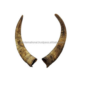 Último Diseño, Venta Caliente, Par de Cuernos con Pieza Antigua de Cuerno Natural de Búfalo, Par de Piezas de Cuerno Natural - Product Image 1