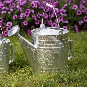 Regadera decorativa de metal para plantas de jardín, uso en interiores y exteriores, boquilla larga, flujo de agua suave, agarre ergonómico, resistente al óxido - Product Image 1