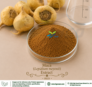 Suministro directo de fábrica HGO de extracto de Maca natural puro (Lepidium meyenii) (grado alimenticio) Especificación 10:1 (extracto de proporción) - Product Image 1