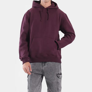 Sudadera con Capucha de Forro Polar Grueso de 300g, Ecológica, Transpirable, para Invierno, Talla Grande, Unisex, con Logotipo Personalizado, Venta al Por Mayor - Product Image 1