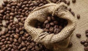 Premium Specialty Arabica Roasted and Ground Coffee, Direct Wholesale Supply, USDA Certification, 0.1% Black & Broken - Product Image 3