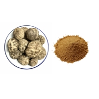 Boisson santé à base d'extrait de champignon Shiitake en poudre, 20% de bêta-glucane