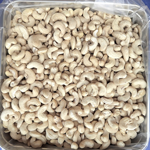 Hot Sale Raw Cashew Kernel Ww210 Ww240 W320 Vietnam Cashew Nuts Reasonable Price - Product Image 1