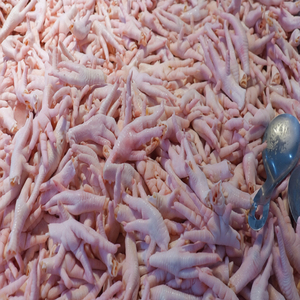 Premium Frozen <b>Chicken</b> Paws Wholesale Supplier for Bulk Orders - Product Image 6