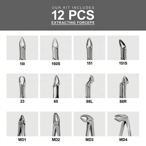 Juego de 12 Pinzas de Extracción Dental de Alta Calidad, Acero Inoxidable Alemán, Reutilizables, Autoclavables, Instrumentos Dentales para Uso Hospitalario - Product Image 2