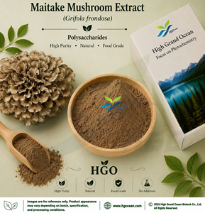 Suministro Directo de Fábrica HGO de Extracto Puro y Natural de Hongo Maitake, Polisacáridos de Grado Alimenticio 20%, 30%, 40%, Extracto Estandarizado - Product Image 1