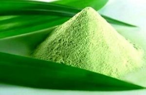 Poudre de pandan pure en gros, approvisionnement en vrac pour desserts et pâtisseries - Product Image 4