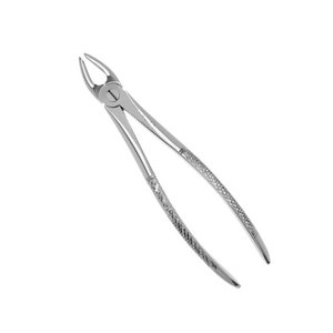 Pinzas de Extracción Tipo Berten de Calidad Premium PLUS-7, Pinzas Quirúrgicas de Acero Inoxidable Alemán para Extracción Dental - Product Image 3