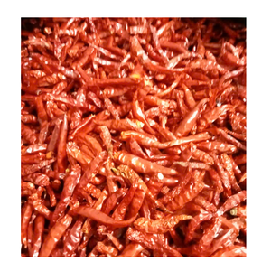 Piments séchés en vrac pour les fabricants d'assaisonnements et les industries agroalimentaires - Product Image 4