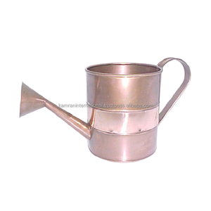 100% acier pur arrosoir Gallon argent métal arrosoir haute vente pour plantes d'intérieur jardin plantes arrosage Spray - Product Image 4