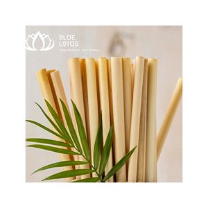 Pailles en bambou écologiques HOT SELLING BLUE LOTUS FARM |   Pailles à boire réutilisables 100% naturelles Ben Tre 200mm pour les fêtes - Product Image 1