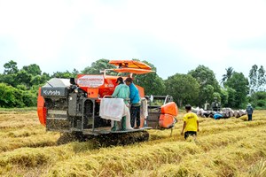 Kubota DC-108X 108HP Rice Grain Combine <b>Harvester</b> High Capacity Tank Crawler Harvesting Machine - Product Image 6