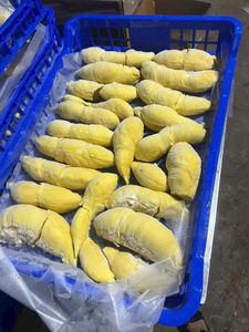 Durian Congelé Naturel du Vietnam en Gros, Fruit Tropical de Qualité Supérieure, Durian Congelé en Vrac pour Aliments, Boissons et Desserts - Product Image 2