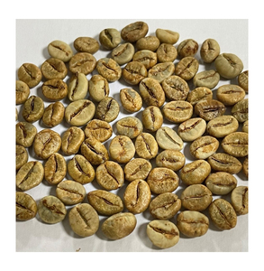 [Haute qualité] Grains de café vert Robusta/Arabica-Grains de café crus Nouvelle récolte 24-25 Norme d'exportation - Product Image 4