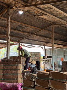 Large Scale Coco <b>Coir</b> Pellet Supply for Global Farming and Horticultural Use - Product Image 5