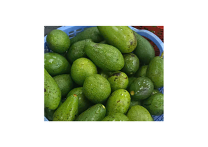 Fournisseur en gros d'avocats surgelés pour supermarchés et distributeurs - Product Image 3