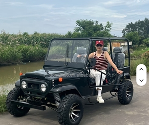 Carrito Jeep Donwin, Fabricación China, 200cc 300cc, Color Personalizado, Gasolina, Cuatro Ruedas, Frenos de Disco Hidráulicos, Neumáticos de Goma Sólida - Product Image 3