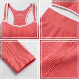 Conjunto de Yoga de 2 Piezas North Approach, Largo, Color Coral Sólido, Ropa Deportiva sin Costuras, Ropa Deportiva para Mujer - Product Image 4